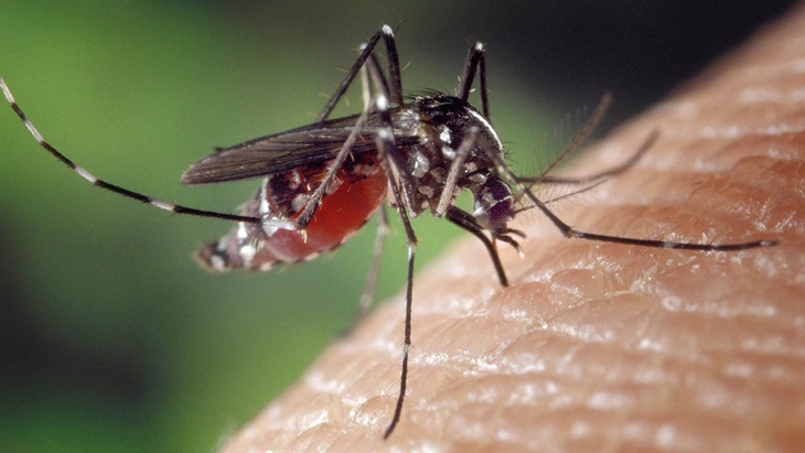 6 lầm tưởng phổ biến về HIV/AIDS và sự thật cần biết để tránh kỳ thị- Ảnh 2.