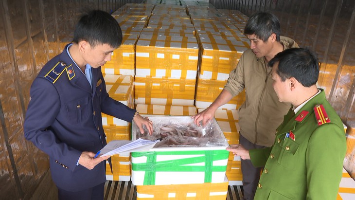 Thu giữ hơn 10 tấn cá khoai sử dụng chất cấm cực độc- Ảnh 1.