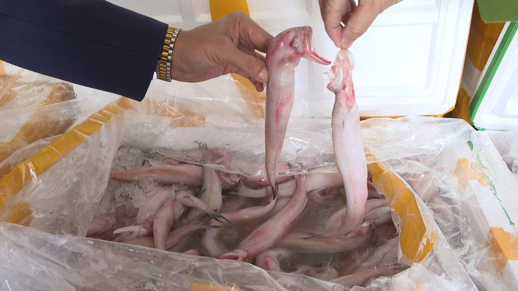 Thu giữ hơn 10 tấn cá khoai sử dụng chất cấm cực độc- Ảnh 2.