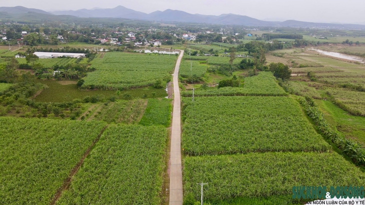 Nghề làm đường phên 'đỏ lửa' chờ Tết- Ảnh 1.