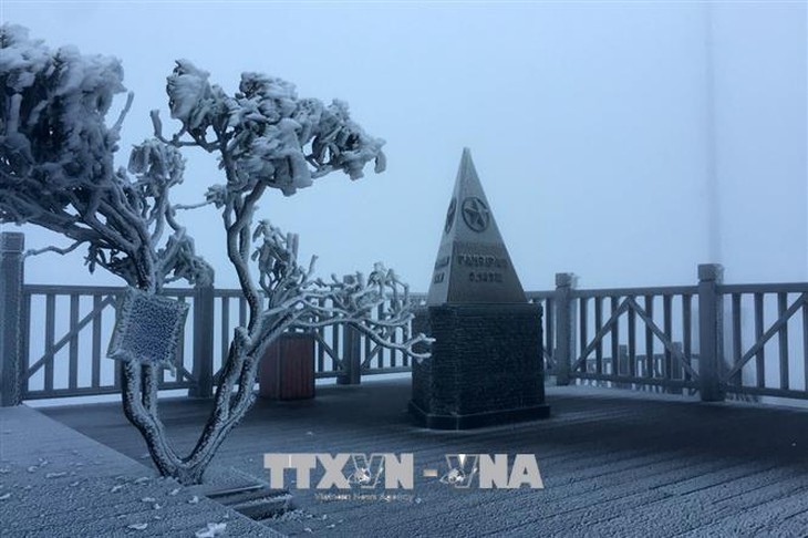 Băng phủ trắng đỉnh Fansipan trong ngày Giáng sinh 2025- Ảnh 1. Băng phủ trắng đỉnh Fansipan trong ngày Giáng sinh 2025- Ảnh 1.