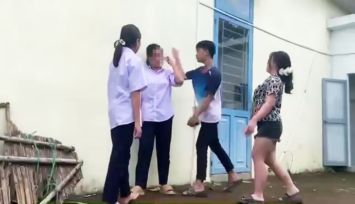 Diễn biến mới vụ nữ sinh lớp 8 ở Đà Nẵng bị đánh hội đồng- Ảnh 1.