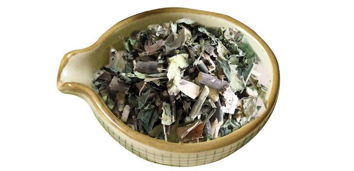 cay-thanh-tao