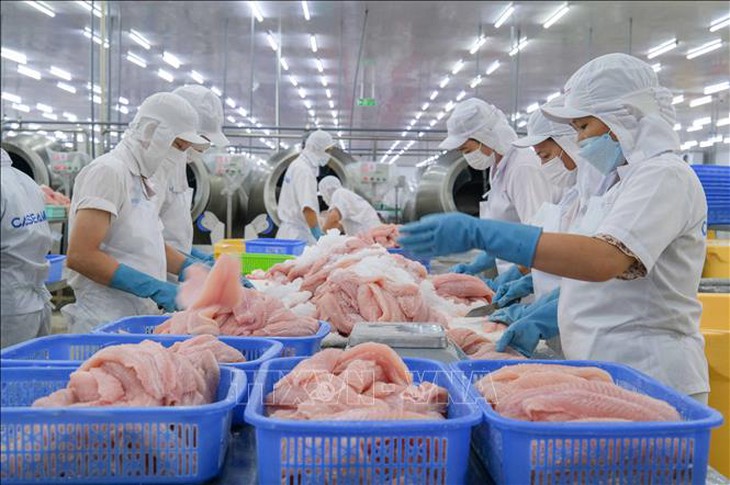 Xuất khẩu cá tra dự báo đạt gần 2,2 tỷ USD- Ảnh 1.