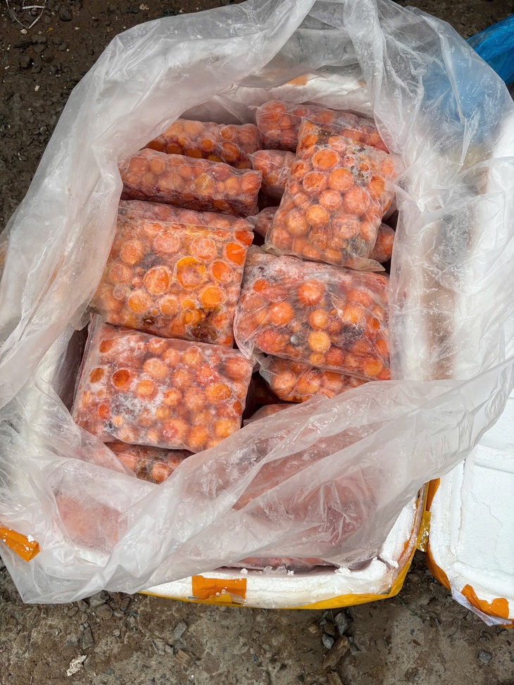 TPHCM: Phát hiện kho chứa hơn 30 tấn nội tạng động vật không nguồn gốc- Ảnh 6. TPHCM: Phát hiện kho chứa hơn 30 tấn nội tạng động vật không nguồn gốc- Ảnh 6.