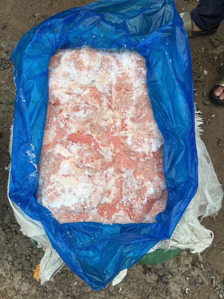 TPHCM: Phát hiện kho chứa hơn 30 tấn nội tạng động vật không nguồn gốc- Ảnh 5. TPHCM: Phát hiện kho chứa hơn 30 tấn nội tạng động vật không nguồn gốc- Ảnh 5.