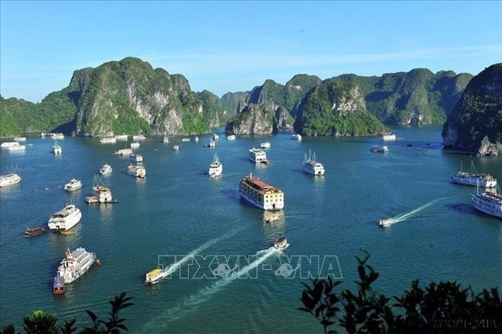 Việt Nam trở thành điểm đến được ưa chuộng hàng đầu năm 2026- Ảnh 2.