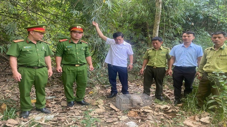 Nhiều động vật hoang dã nguy cấp được người dân tự nguyện giao nộp, thả về tự nhiên- Ảnh 3. Nhiều động vật hoang dã nguy cấp được người dân tự nguyện giao nộp, thả về tự nhiên- Ảnh 3.