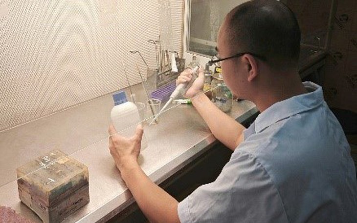 Nhà khoa học Việt nuôi đông trùng hạ thảo giàu hoạt chất trên sâu chít