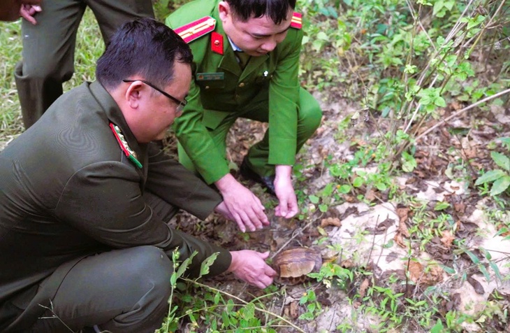 Thấy rùa hộp trán vàng quý hiếm trên đường, người dân nộp cho công an- Ảnh 1. Thấy rùa hộp trán vàng quý hiếm trên đường, người dân nộp cho công an- Ảnh 1.