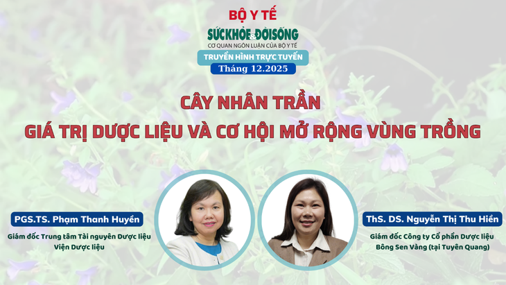Truyền hình trực tuyến: Cây nhân trần – Giá trị dược liệu và cơ hội mở rộng vùng trồng- Ảnh 1. Truyền hình trực tuyến: Cây nhân trần – Giá trị dược liệu và cơ hội mở rộng vùng trồng- Ảnh 1.