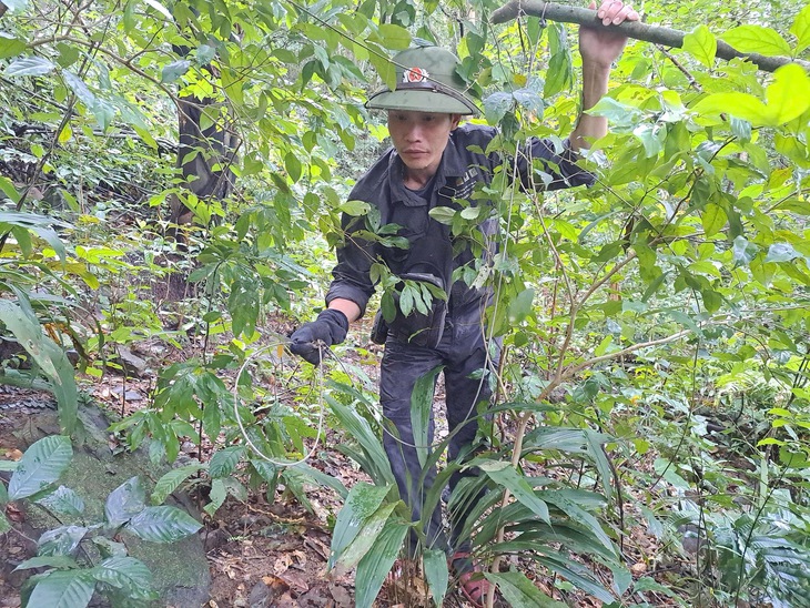 Những hiểm nguy trong hành trình bảo vệ động vật hoang dã quý hiếm- Ảnh 8. Những hiểm nguy trong hành trình bảo vệ động vật hoang dã quý hiếm- Ảnh 8.