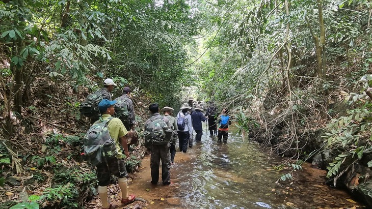 Những hiểm nguy trong hành trình bảo vệ động vật hoang dã quý hiếm- Ảnh 9. Những hiểm nguy trong hành trình bảo vệ động vật hoang dã quý hiếm- Ảnh 9.