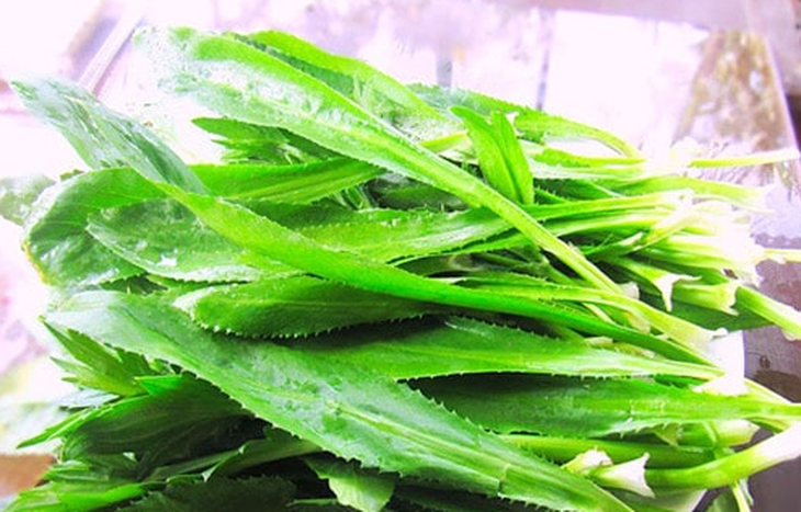 Lá mùi tàu có tác dụng gì?- Ảnh 1.