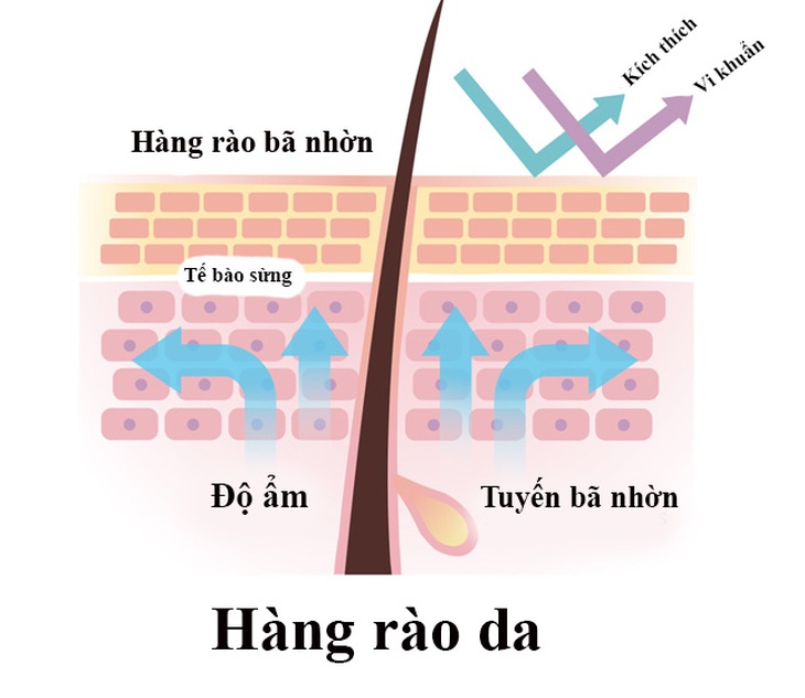 Bệnh viêm da cơ địa tăng nặng khi thời tiết lạnh, khô- Ảnh 1.