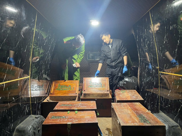 Giải cứu 12 cá thể động vật quý hiếm có nguy cơ tuyệt chủng- Ảnh 1. Giải cứu 12 cá thể động vật quý hiếm có nguy cơ tuyệt chủng- Ảnh 1.