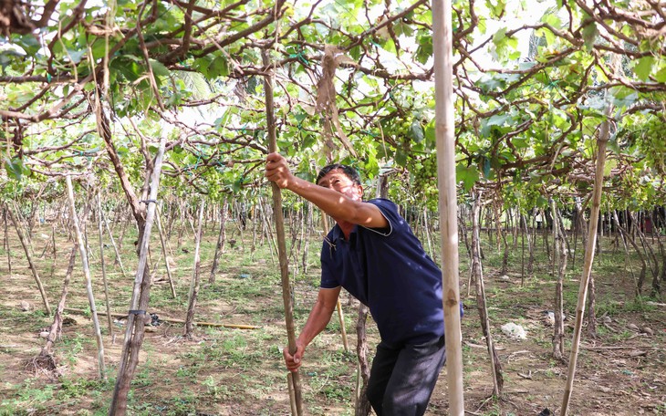 Khánh Hoà khẩn trương tu sửa công trình thủy lợi, tái thiết cuộc sống sau lũ- Ảnh 4.
