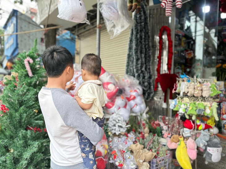 Thông tươi giá rẻ được chị em ‘săn đón’ trang trí dịp Giáng sinh 2025- Ảnh 1.
