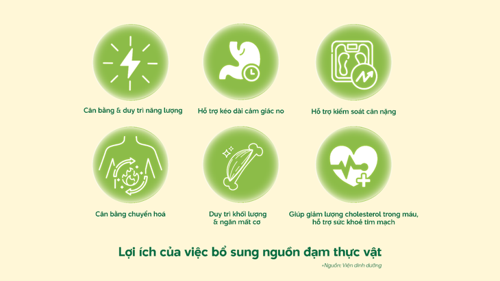 Cân bằng đạm động vật và thực vật để duy trì sức khỏe- Ảnh 1.