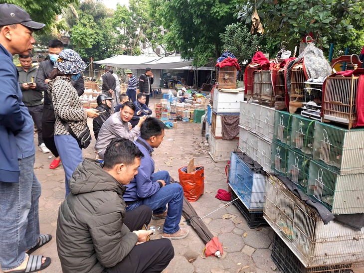 Chợ của người mê chim ở Hà Nội có gì lạ? - Ảnh 8.