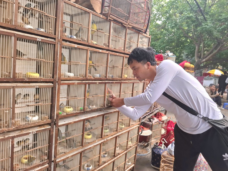 Chợ của người mê chim ở Hà Nội có gì lạ? - Ảnh 6.