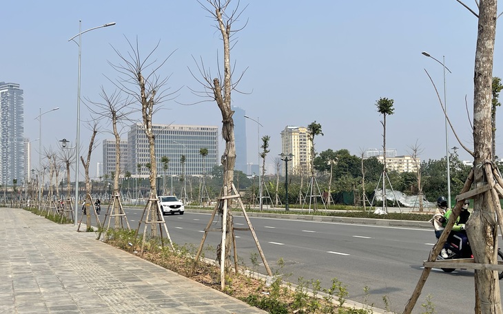 Hàng loạt cây xanh thiếu sức sống trên tuyến đường mới thông xe ở Hà Nội