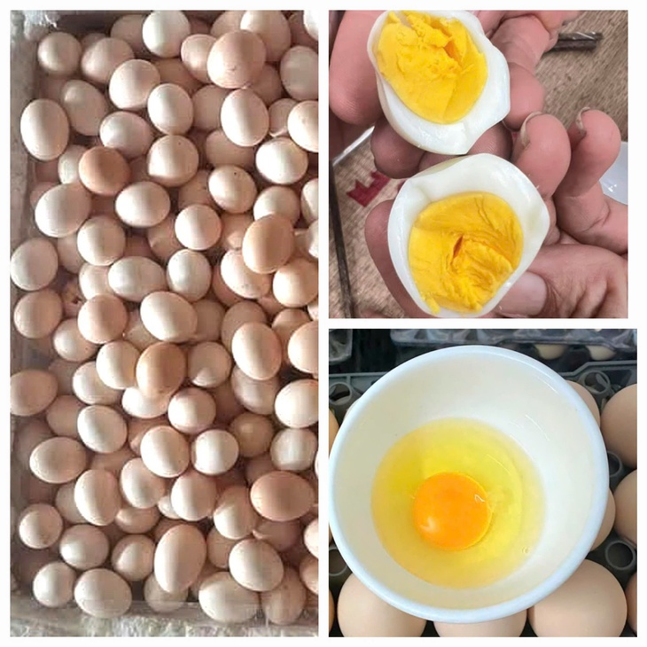 Trứng gà sau Tết có giá siêu rẻ, nhiều nơi bán chỉ 1.800 đồng/quả- Ảnh 2. Trứng gà sau Tết có giá siêu rẻ, nhiều nơi bán chỉ 1.800 đồng/quả- Ảnh 2.