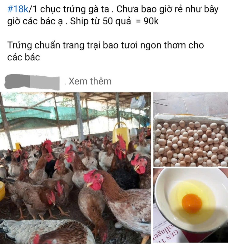 Trứng gà sau Tết có giá siêu rẻ, nhiều nơi bán chỉ 1.800 đồng/quả- Ảnh 1. Trứng gà sau Tết có giá siêu rẻ, nhiều nơi bán chỉ 1.800 đồng/quả- Ảnh 1.