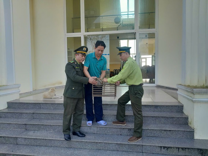 Động vật hoang dã 'đi lạc' vào sân nhà điều hành hồ chứa lớn nhất Huế- Ảnh 1. Động vật hoang dã 'đi lạc' vào sân nhà điều hành hồ chứa lớn nhất Huế- Ảnh 1.