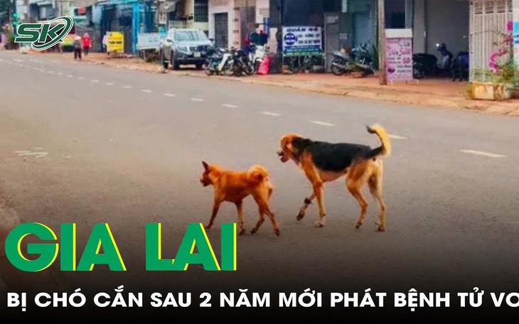 Gia Lai: hai người tử vong vì bệnh dại, một trường hợp bị chó cắn cách đây hai năm