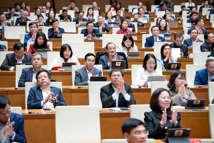 Phân cấp, phân quyền và ủy quyền được quy định trong Luật Tổ chức Chính phủ thế nào?- Ảnh 1.