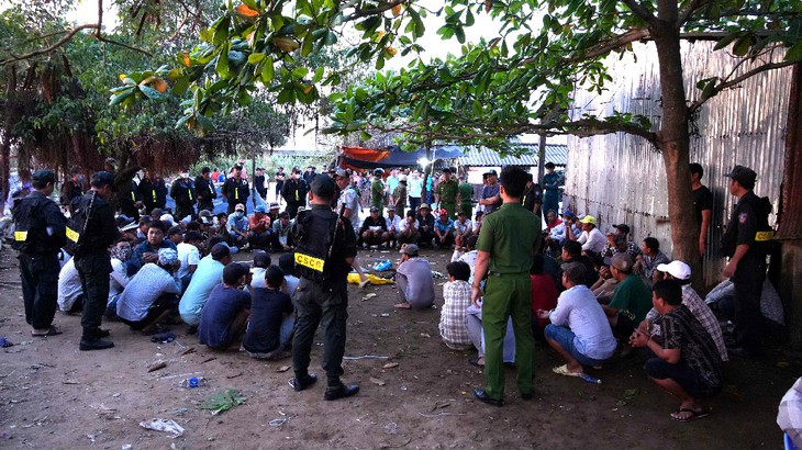 Triệt phá tụ điểm đá gà trên đê biển, bắt quả tang 75 đối tượng- Ảnh 1. Triệt phá tụ điểm đá gà trên đê biển, bắt quả tang 75 đối tượng- Ảnh 1.