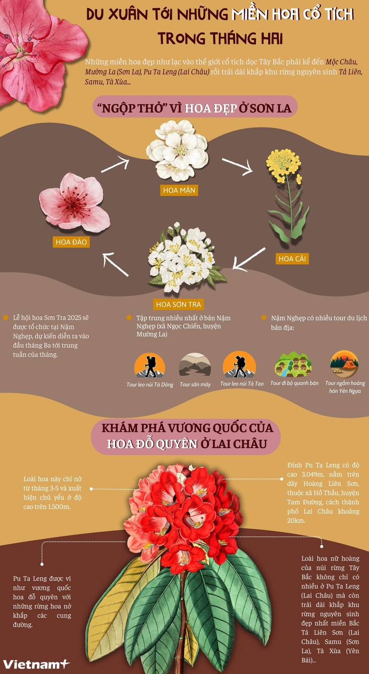 Du Xuân tháng Hai: Gợi ý một số địa điểm ngắm hoa- Ảnh 1.