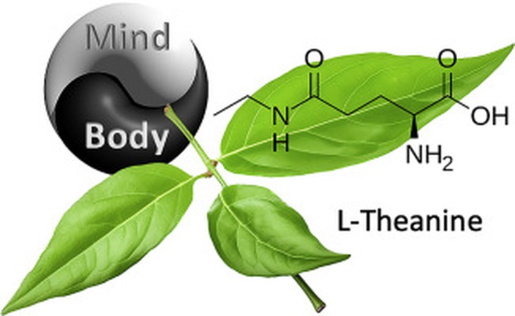 theanine