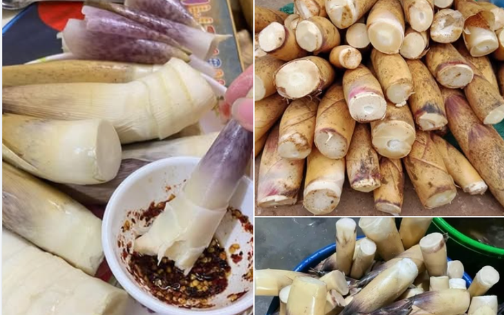 Măng vầu luộc gây "sốt" mạng xã hội: Chuyên gia khuyến cáo