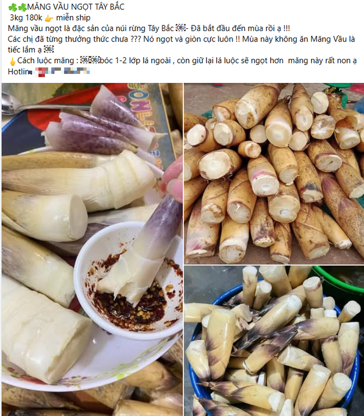 Măng vầu luộc gây 'sốt' mạng xã hội: Chuyên gia khuyến cáo- Ảnh 3.