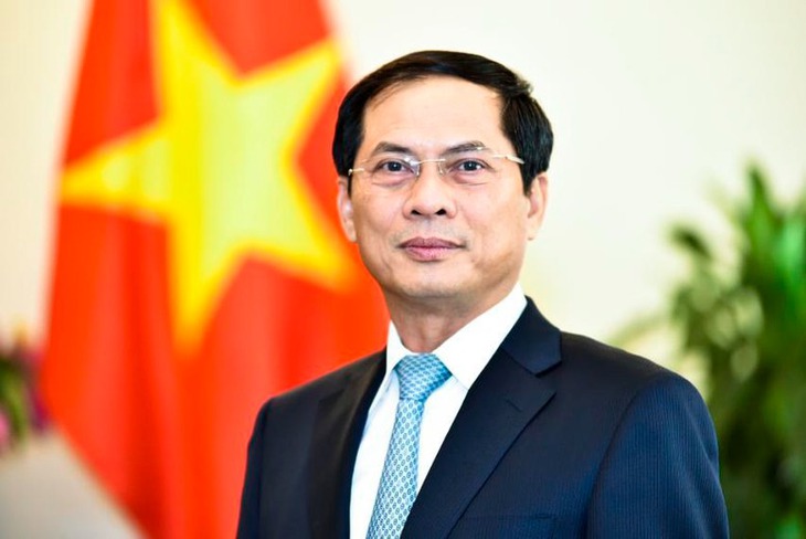 Phân công công tác của Thủ tướng và các Phó Thủ tướng Chính phủ- Ảnh 6.