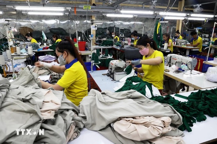 Người lao động có thu nhập từ 3 triệu đồng trở xuống thuộc nhóm thu nhập thấp- Ảnh 1. Người lao động có thu nhập từ 3 triệu đồng trở xuống thuộc nhóm thu nhập thấp- Ảnh 1.