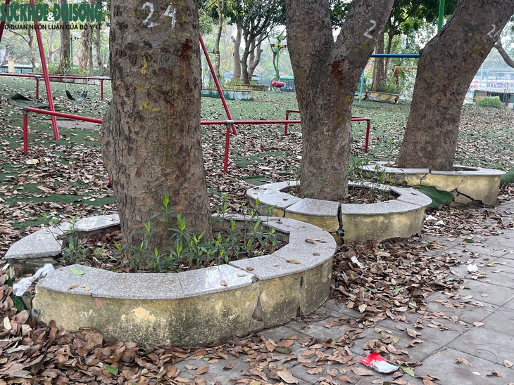 Cận cảnh bên trong công viên lớn nhất Thủ đô đang được cải tạo- Ảnh 4.