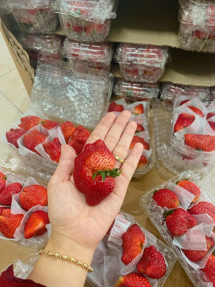 Dâu tây giá rẻ tràn ngập thị trường, tiểu thương bật mí cách nhận diện dâu tây Sơn La và Trung Quốc- Ảnh 7.