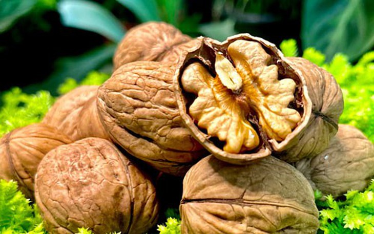 Tác dụng của nước lá đinh lăng với chứng suy giảm trí nhớ - Ảnh 3.