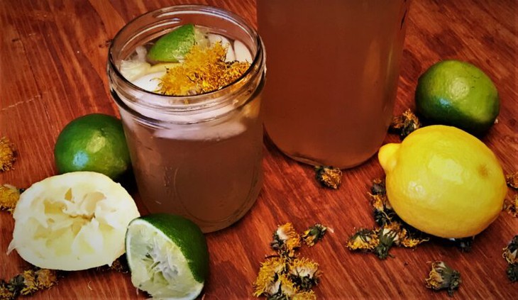 trà bồ công anh và chanh
