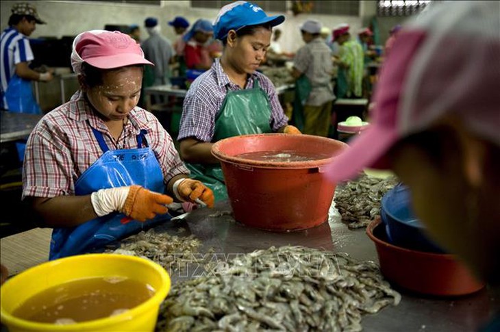 Thái Lan gia hạn giấy phép cho lao động nhập cư từ Việt Nam và 3 nước Đông Nam Á- Ảnh 1. Thái Lan gia hạn giấy phép cho lao động nhập cư từ Việt Nam và 3 nước Đông Nam Á- Ảnh 1.