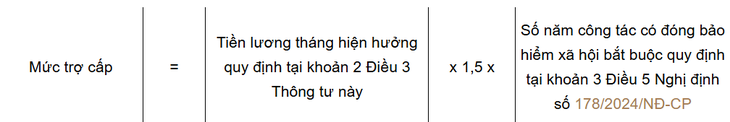 Cán bộ cấp xã nghỉ việc khi sắp xếp, tinh gọn bộ máy được hưởng những khoản trợ cấp nào?- Ảnh 4. Cán bộ cấp xã nghỉ việc khi sắp xếp, tinh gọn bộ máy được hưởng những khoản trợ cấp nào?- Ảnh 4.