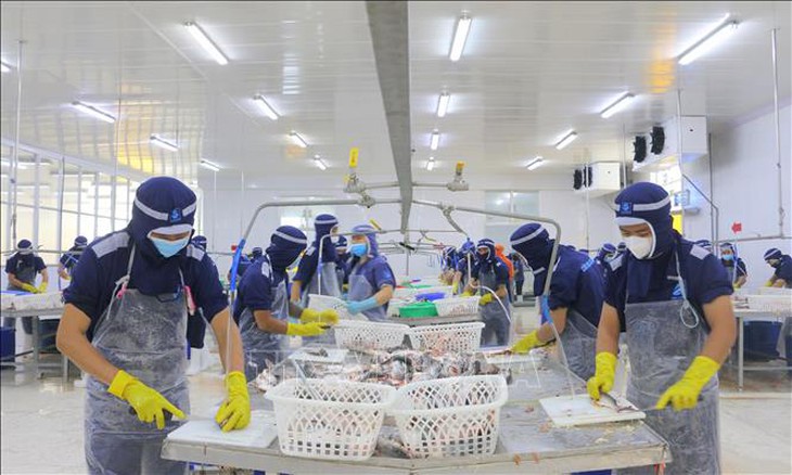 Việt Nam xuất siêu trên 3 tỷ USD trong tháng 1- Ảnh 1.