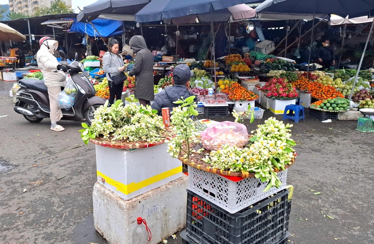 Hoa bưởi đầu mùa được săn đón, đắt nhưng vẫn 'cháy hàng'- Ảnh 5.