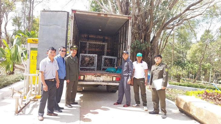 Bàn giao nhiều động vật nguy cấp, quý hiếm được nuôi ở công viên để thả về rừng- Ảnh 1. Bàn giao nhiều động vật nguy cấp, quý hiếm được nuôi ở công viên để thả về rừng- Ảnh 1.
