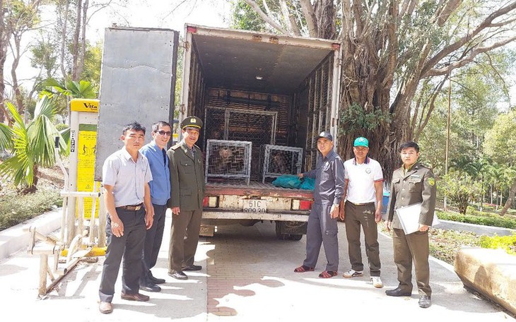 Nhiều động vật hoang dã nguy cấp được người dân tự nguyện giao nộp, thả về tự nhiên- Ảnh 4.