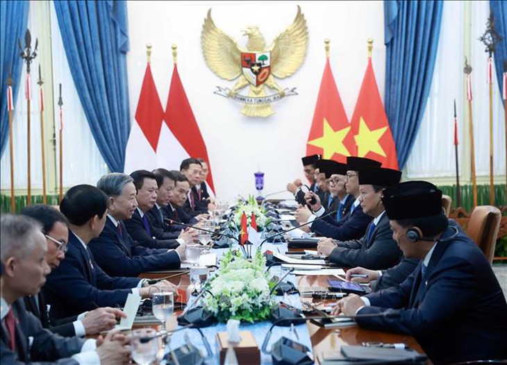 Tổng Bí thư Tô Lâm hội đàm với Tổng thống Indonesia Prabowo Subianto- Ảnh 3.