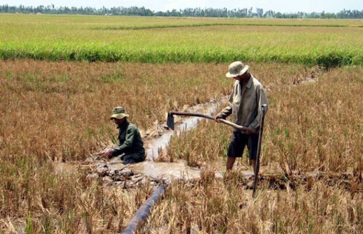 Xâm nhập mặn vào sâu kênh rạch ở Đồng bằng sông Cửu Long- Ảnh 2. Xâm nhập mặn vào sâu kênh rạch ở Đồng bằng sông Cửu Long- Ảnh 2.
